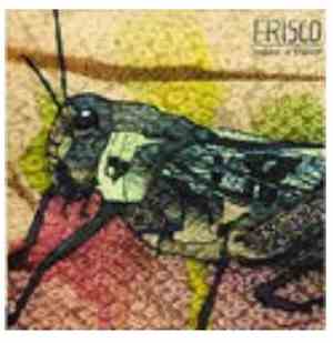 Frisco - Mano Mano
