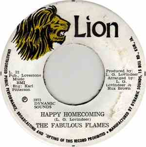 The Fabulous Flames - Happy Homecoming / Not My Festival Song