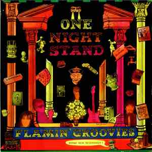 The Flamin' Groovies - One Night Stand