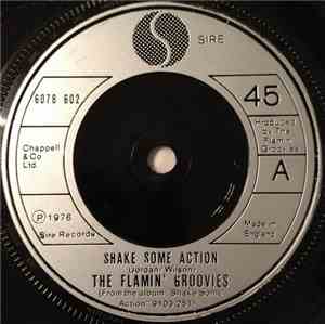 The Flamin' Groovies - Shake Some Action