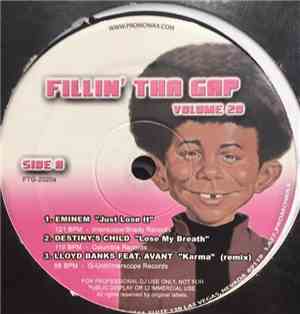 Various - Fillin' Tha Gap Volume 20
