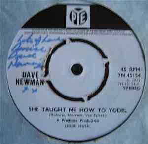 Dave Newman  - She Taught Me How To Yodel