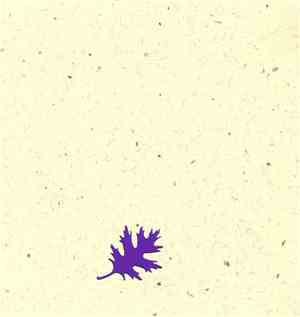 Shedding - Hello St. Louis!!! - May 28th, 2004
