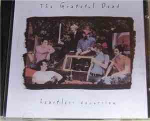 The Grateful Dead - Heartless Excursion