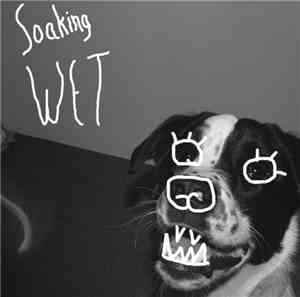 Wet Socks - Soaking Wet