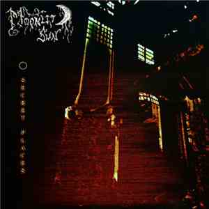 Moonlit Sun - Secret Places