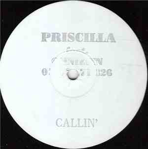 Priscilla Feat. Omnizien - Callin'
