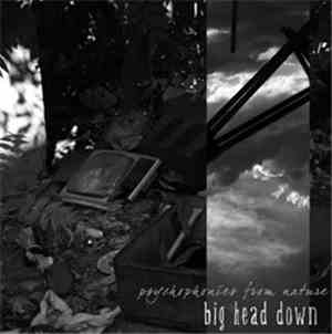 Big Head Down - Psychophonies From Nature