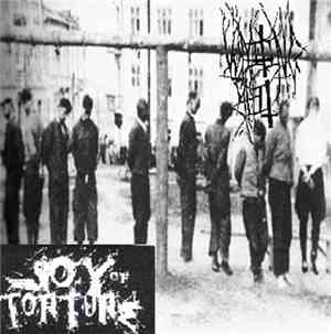 Joy Of Torture, Vomiting Shit - Split
