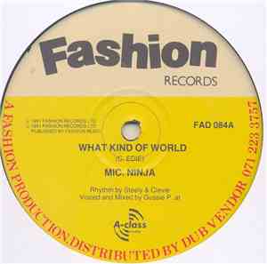 Mic. Ninja - What Kind Of World / Too Much Gun