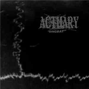 Actuary - Dingbat