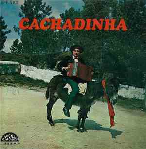 Cachadinha - Educação De Pai E Filho