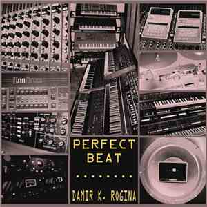 Damir K. Rogina - Perfect Beat