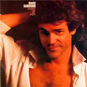 David Sanborn - Straight To The Heart