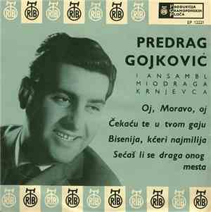 Predrag Gojković I Ansambl Miodraga Krnjevca - Oj, Moravo, Oj