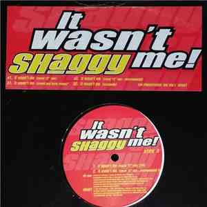 Shaggy - It Wasn't Me!
