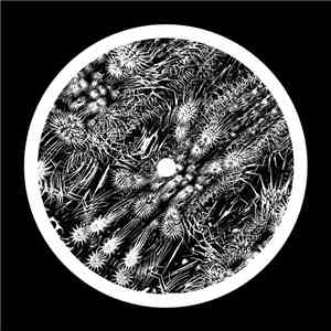 Mosam Howieson - Untitled