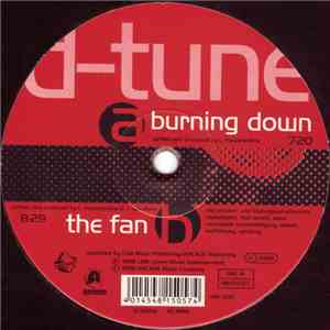D-Tune  - Burning Down / The Fan