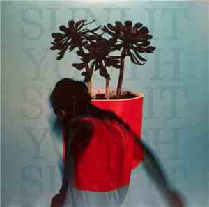 Local Natives - Sunlit Youth