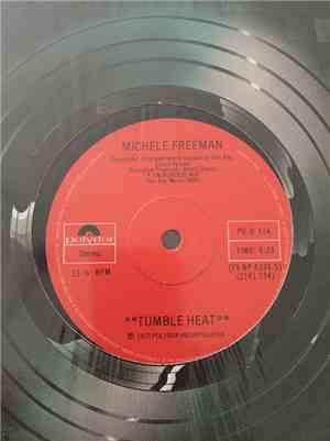Michele Freeman - Tumble Heat