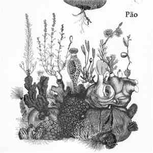 Pão - Pão