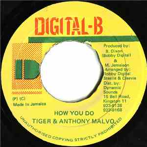 Tiger & Anthony Malvo - How You Do