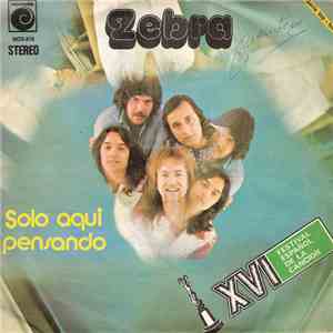 Zebra - Solo Aqui Pensando