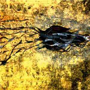 Waz Hoola - The Things That Are Keeping Me Alive... Are Killing Me