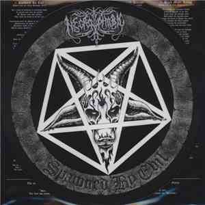 Necrophobic - Spawned By Evil