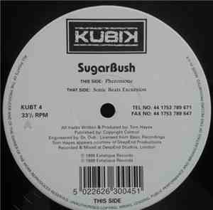 Tom Hayes - SugarBush