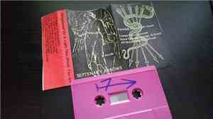Septenary Arrows - Enlightened By A Light That Blinds You All