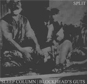 Sleep Column / Blockhead's Guts - Split