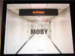 Moby - Destroyed