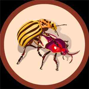 The Naturebot - Beetle Fucker