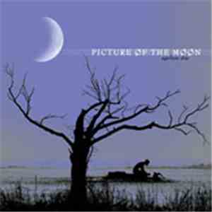 Picture Of The Moon - Ageless Day