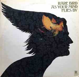 Rare Bird - As Your Mind Flies By