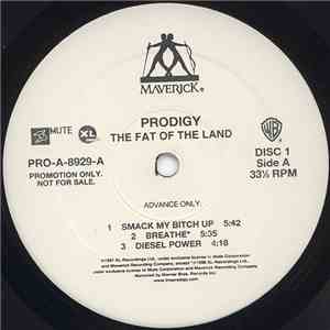 Prodigy - The Fat Of The Land