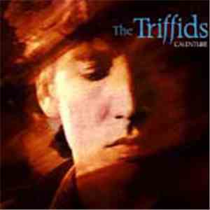 The Triffids - Calenture