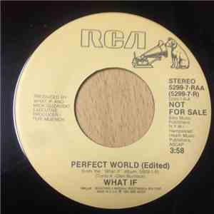 What If  - Perfect World