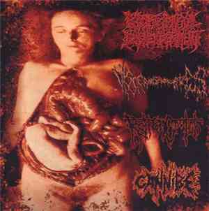 Cannibe / ROTTENCROTCH / Psychotic Homicidal Dismemberment / Visceranalsper ...