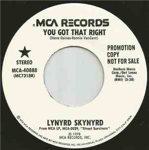 Lynyrd Skynyrd - You Got That Right