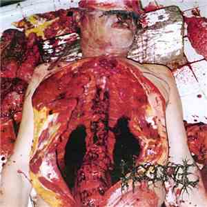 Disgorge  - Chronic Corpora Infest