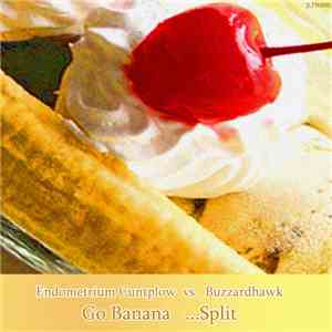 Endometrium Cuntplow vs. Buzzardhawk - Go Banana   ...Split