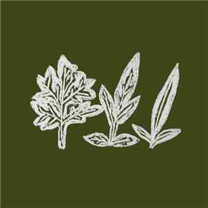 Takashi Ueno - Variations Of Weeds