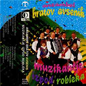 Ansambel Bratov Avsenik - Muzikantje Izpod Robleka