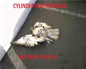 Cylinder Smithsonian - Blood Files 8