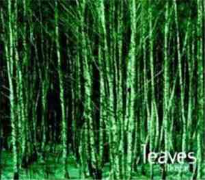 Leaves - Silence