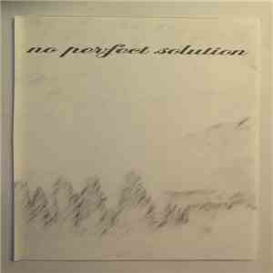 No Perfect Solution - No Perfect Solution
