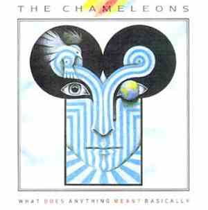 The Chameleons - What Does Anything Mean?  Basically