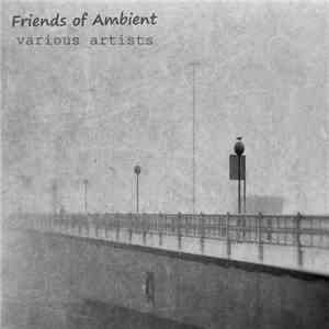 Various - Friends Of Ambient 18